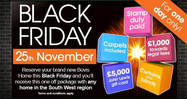 Black Friday offer - for one day only!